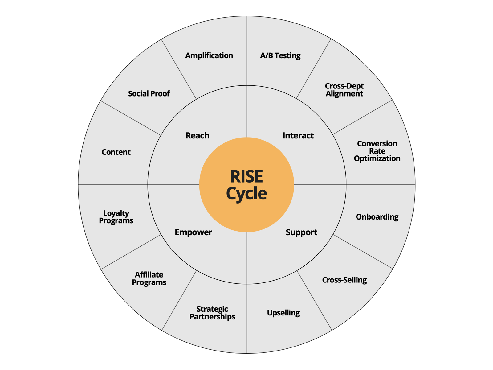 The RISE Cycle framework: Reach, Interact, Support, Empower